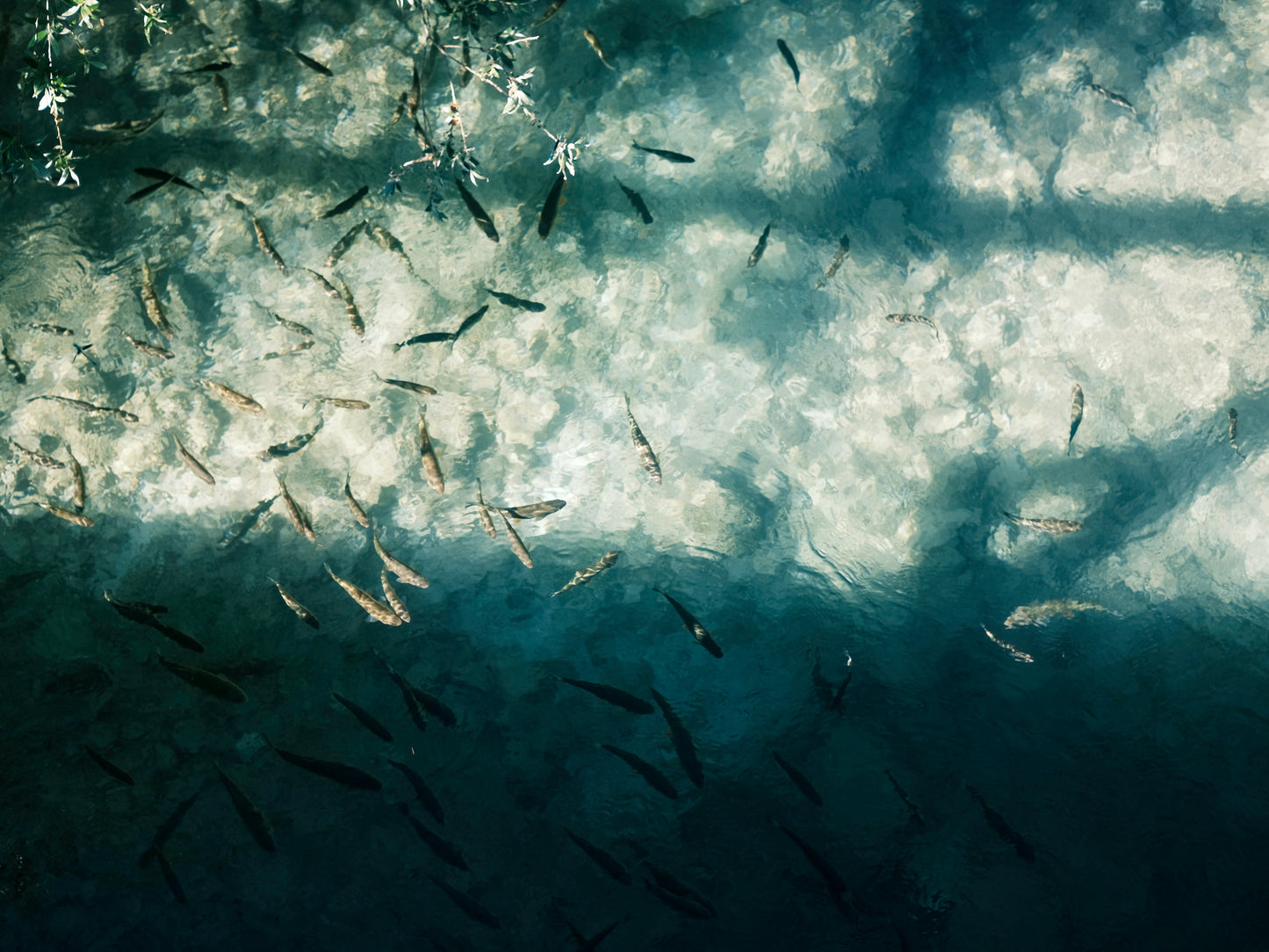 'Clarity' High Quality Poster Print perfect for your home or office. 