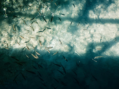 'Clarity' High Quality Poster Print perfect for your home or office. 