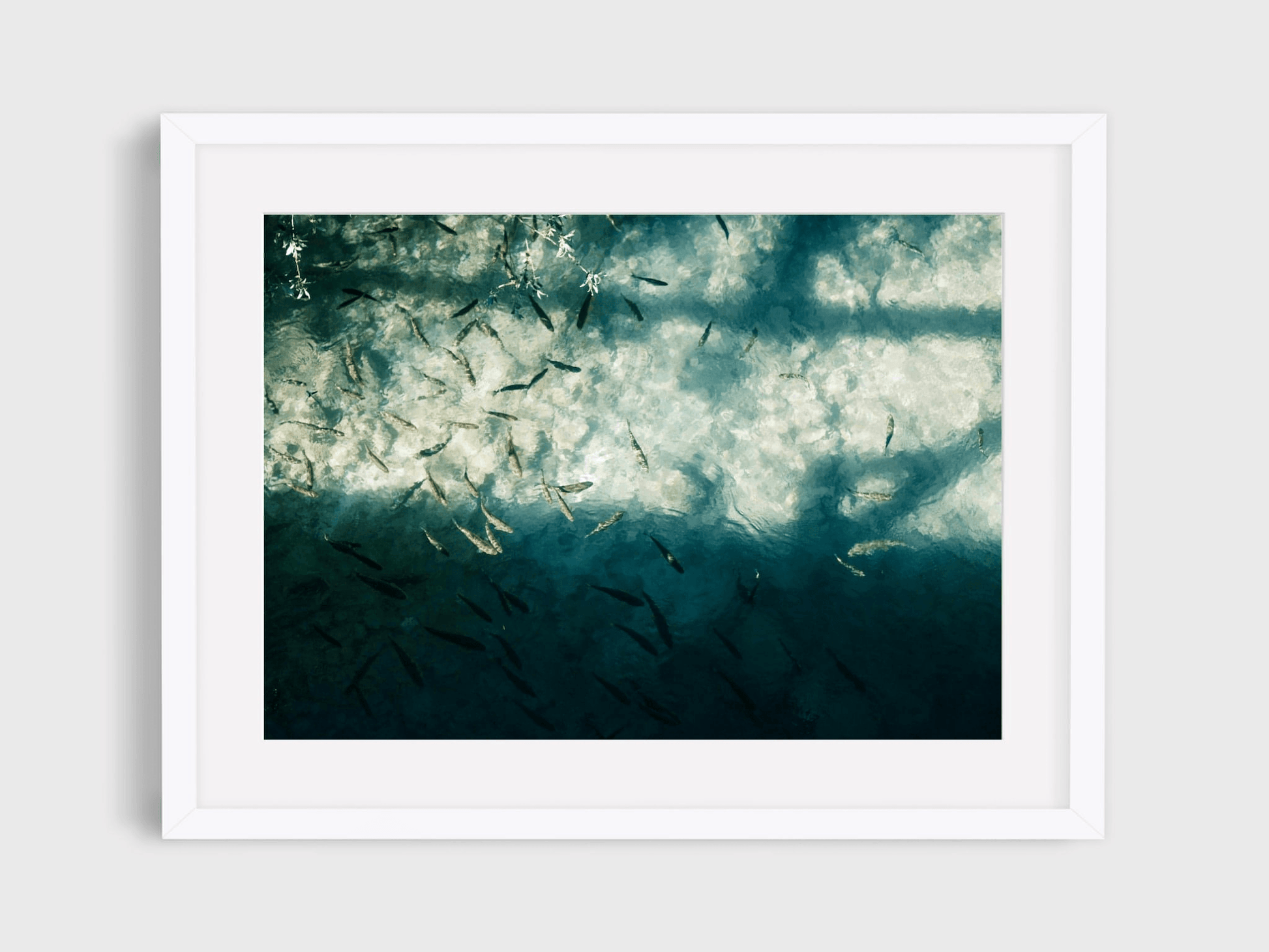 'Clarity' High Quality Poster Print perfect for your home or office. 