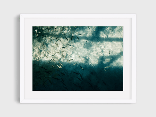 'Clarity' High Quality Poster Print perfect for your home or office. 
